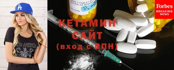СК Алексин