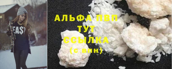 прущие грибы Заволжск