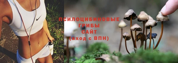 СК Алексин