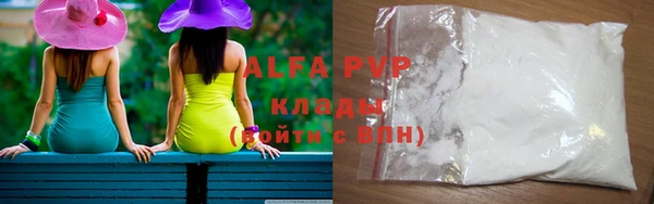 СК Алексин