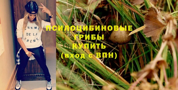 СК Алексин