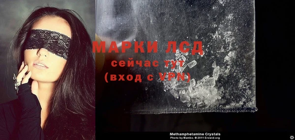 СК Алексин